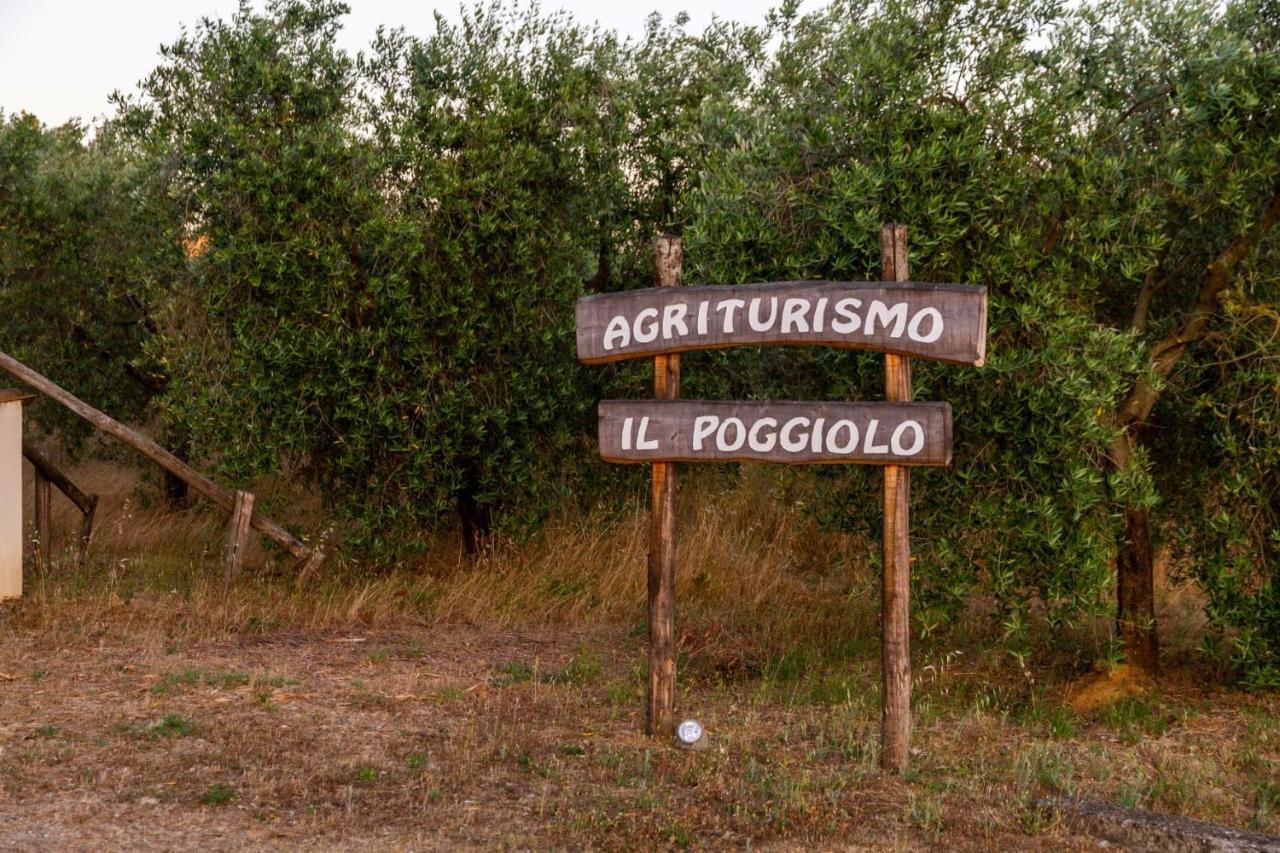 Agriturismo Il Poggiolo Villa Grosseto Eksteriør billede